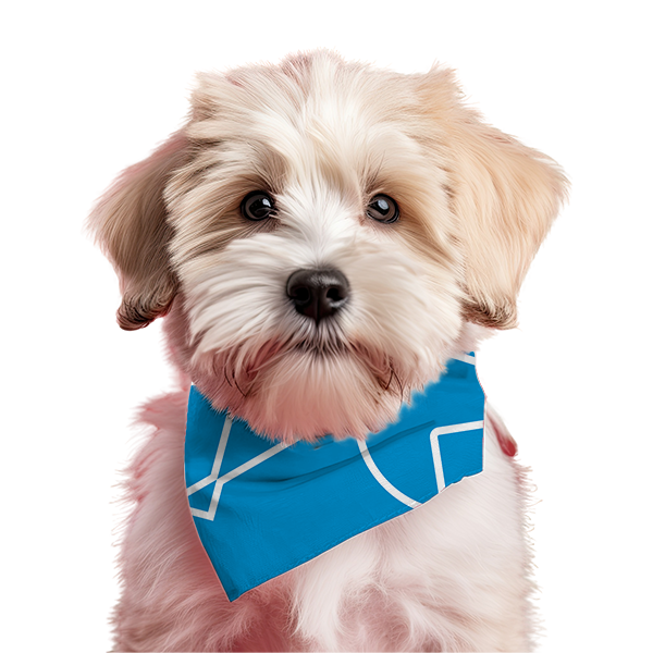 Bandana Pet