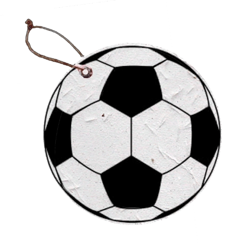 Bola de Futebol em Papel Semente